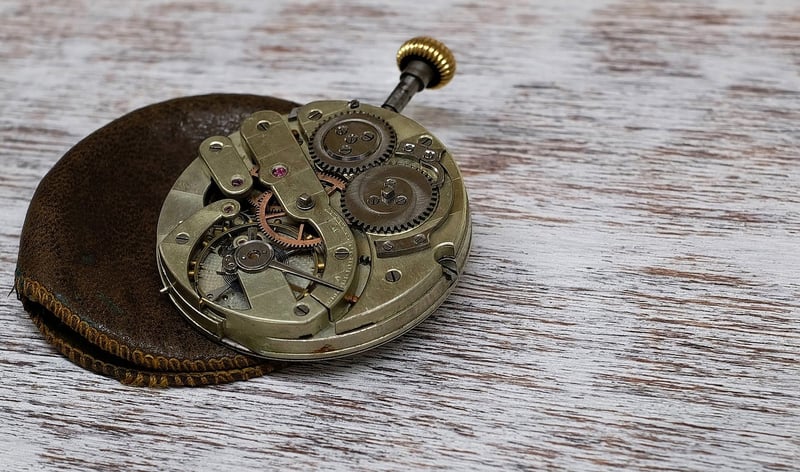 Altcoins to Watch